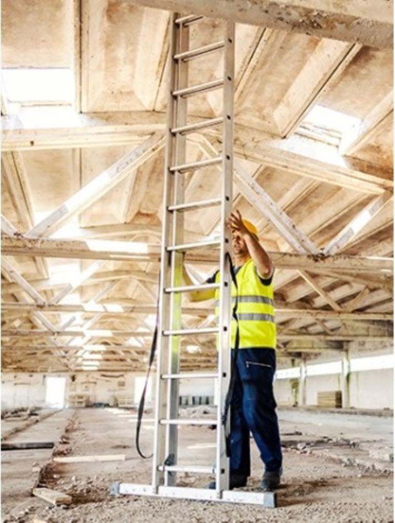 Domestic and Professional Ladders